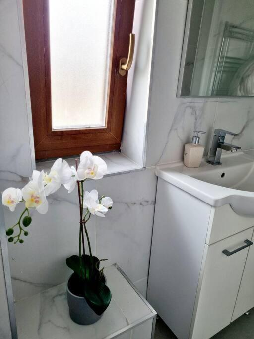 Cozy Apartment Near City Center Bucarest Extérieur photo
