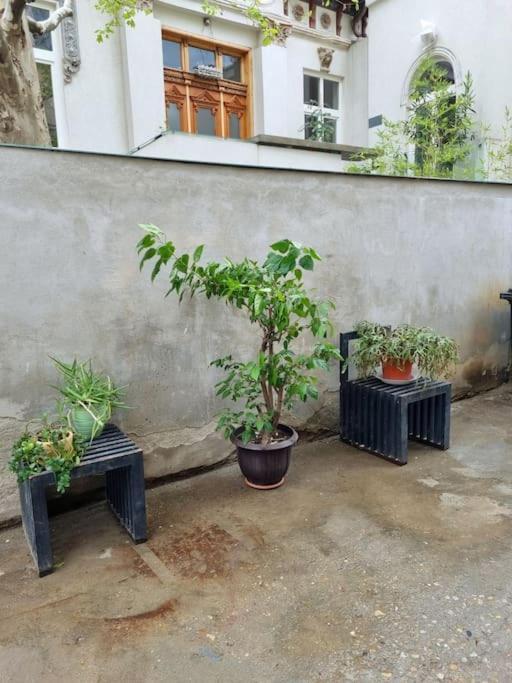 Cozy Apartment Near City Center Bucarest Extérieur photo